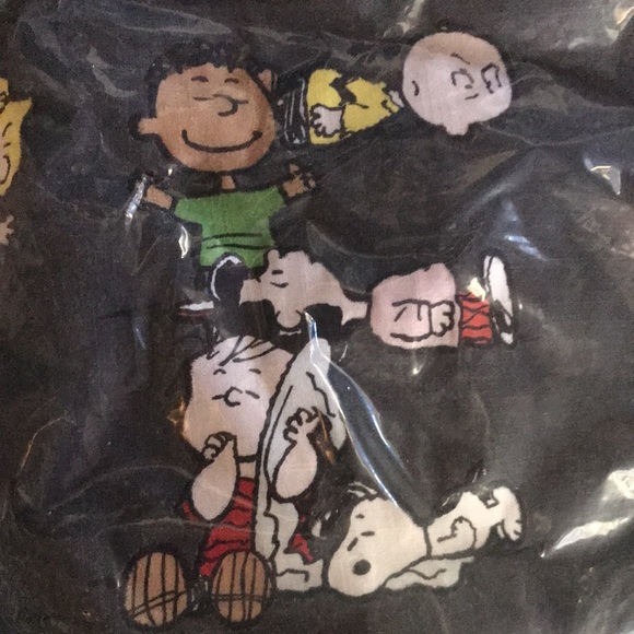 Pottery Barn Peanuts “LOVE” Happy Valentines Charlie Brown Pillow Cover … - Picture 12 of 16